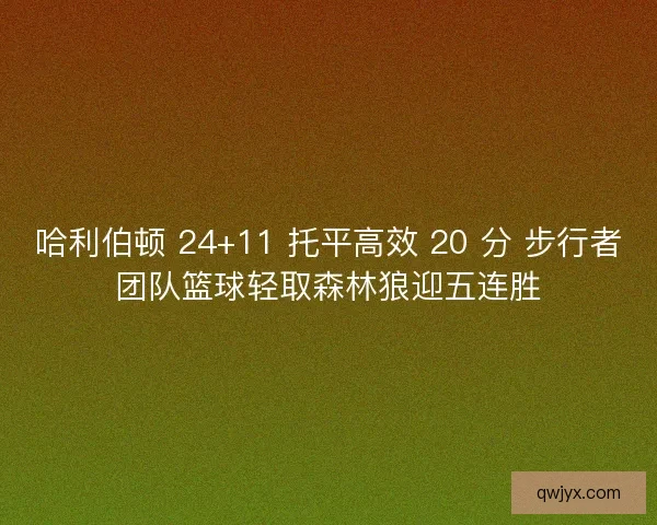 哈利伯顿 24+11 托平高效 20 分 步行者团队篮球轻取森林狼迎五连胜 哈利伯顿 24+11 托平高效 20 分 步行者团队篮球轻取森林狼迎五连胜