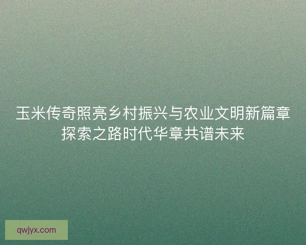 玉米传奇照亮乡村振兴与农业文明新篇章探索之路时代华章共谱未来