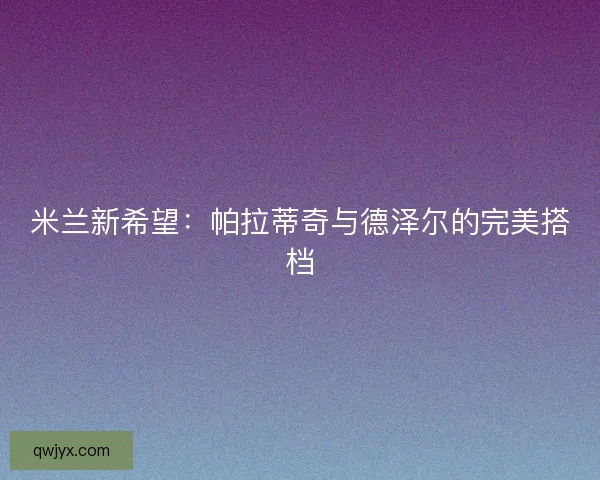 米兰新希望：帕拉蒂奇与德泽尔的完美搭档