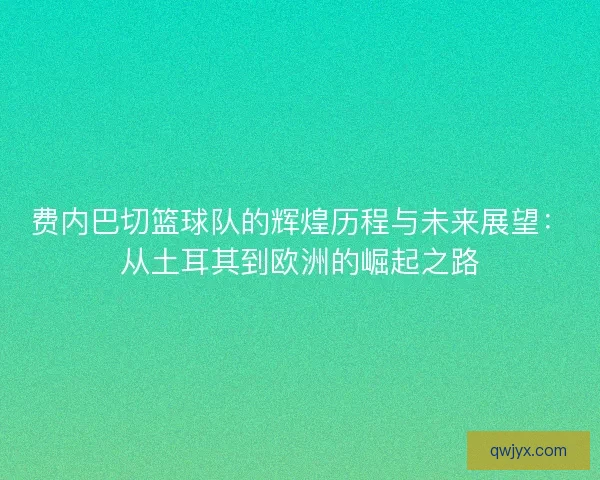 费内巴切篮球队的辉煌历程与未来展望:从土耳其到欧洲的崛起之路 费内巴切篮球队的辉煌历程与未来展望:从土耳其到欧洲的崛起之路