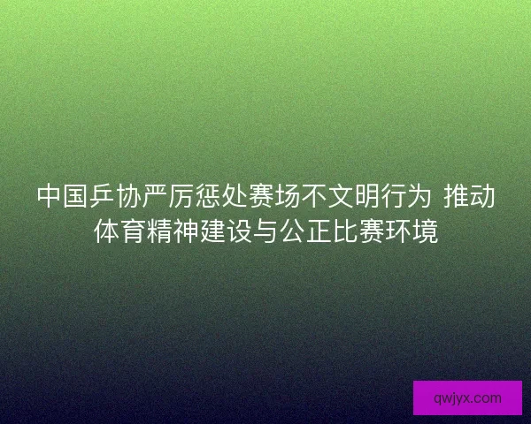 中国乒协严厉惩处赛场不文明行为 推动体育精神建设与公正比赛环境