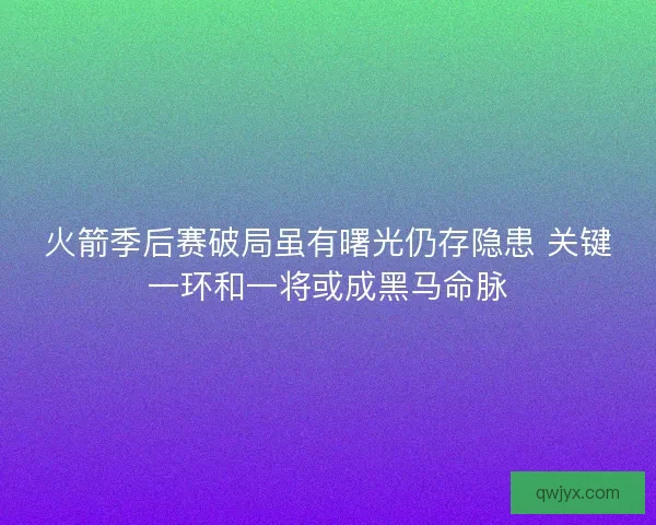 火箭季后赛破局虽有曙光仍存隐患 关键一环和一将或成黑马命脉